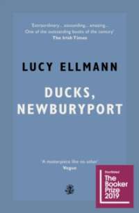 Ducks, Newburyport