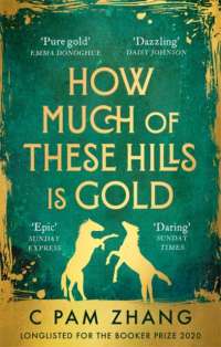 How Much of These Hills is Gold