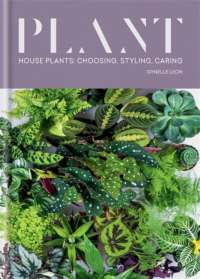 Plant : House plants: choosing, styling, caring